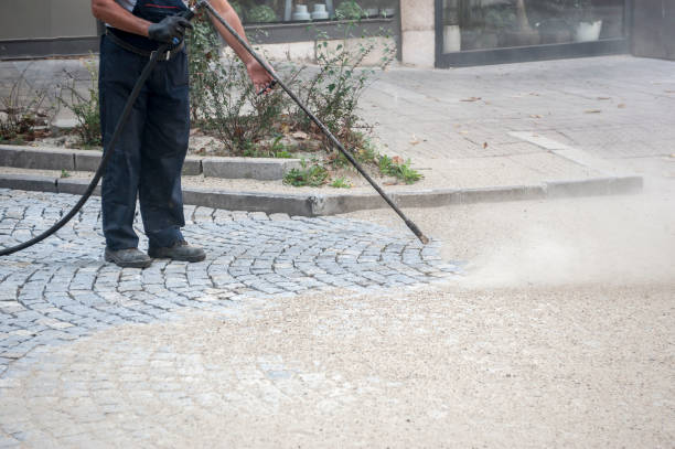 Best Spring Cleaning  in Wauchula, FL