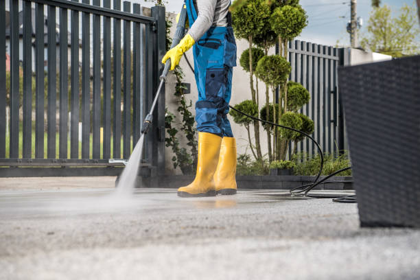 Best Driveway Pressure Washing  in Wauchula, FL