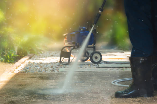 Animal Enclosure Cleaning in Wauchula, FL